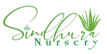 logoweb